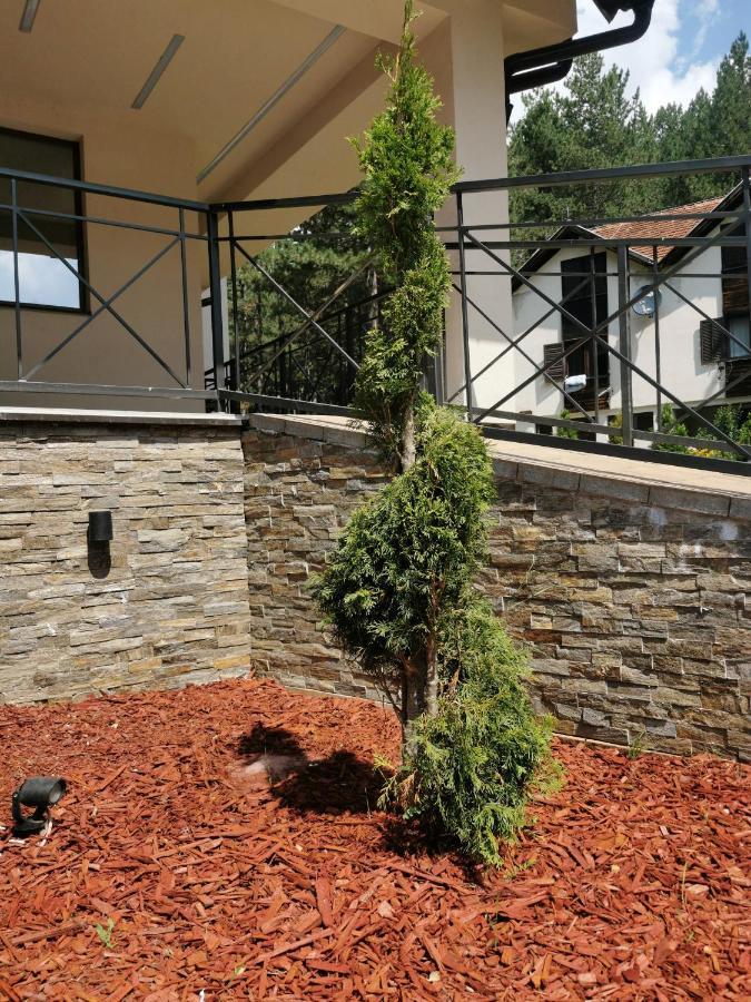 Apartman Stefanovic Vila Darija Lux Zlatibor Ngoại thất bức ảnh