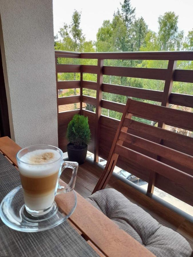 Apartman Stefanovic Vila Darija Lux Zlatibor Ngoại thất bức ảnh